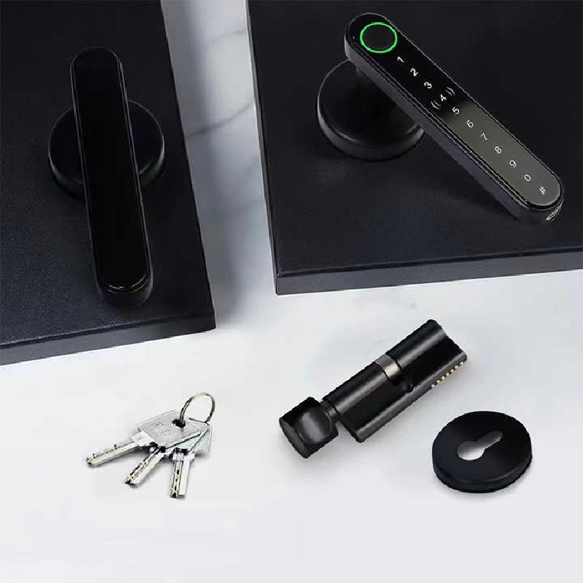 Smart  Finger Print Deadbolt Door Handle Lock Best for Home and Hotel H5