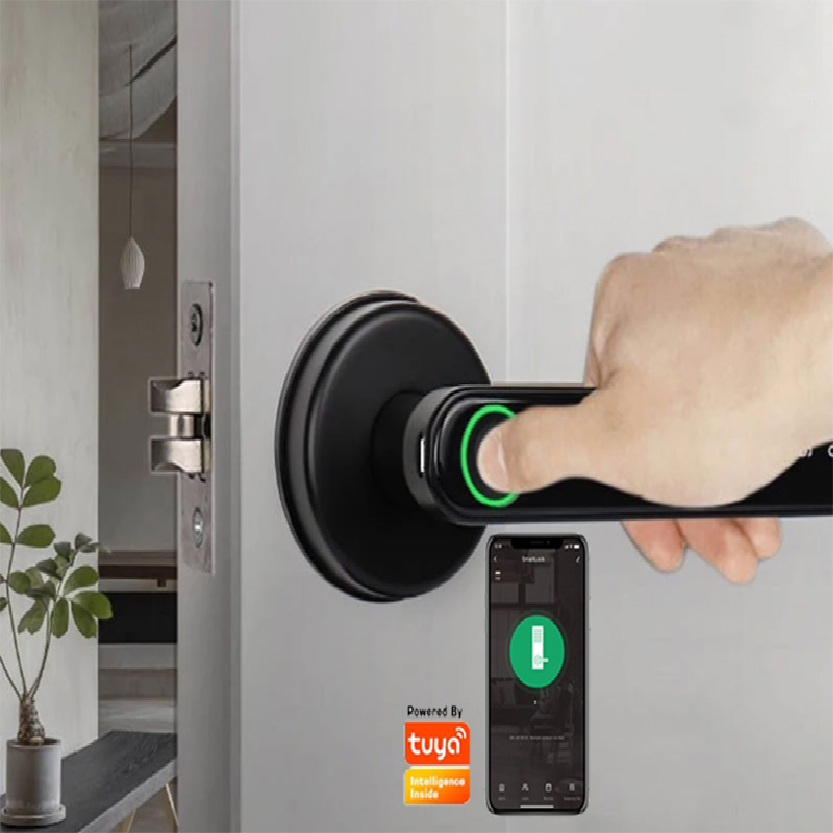 Smart  Finger Print Deadbolt Door Handle Lock Best for Home and Hotel H5