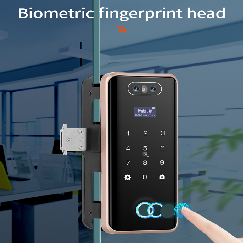 Smart Lock  WiFi APP Face Recognition Smart Glass Fingerprint Smart Door Lock