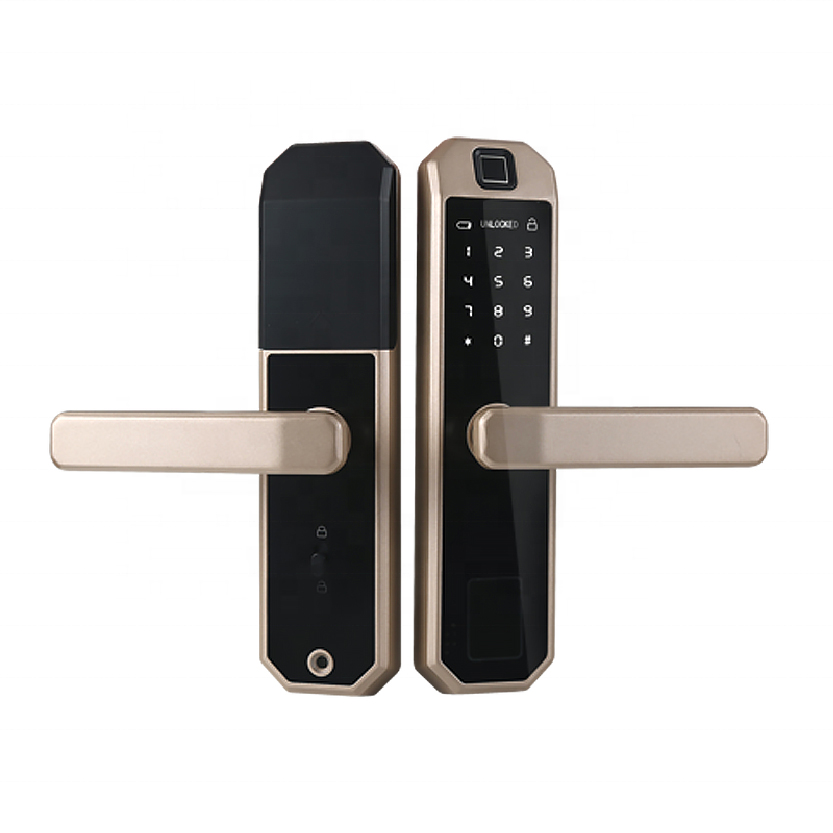Smart Door lock X9