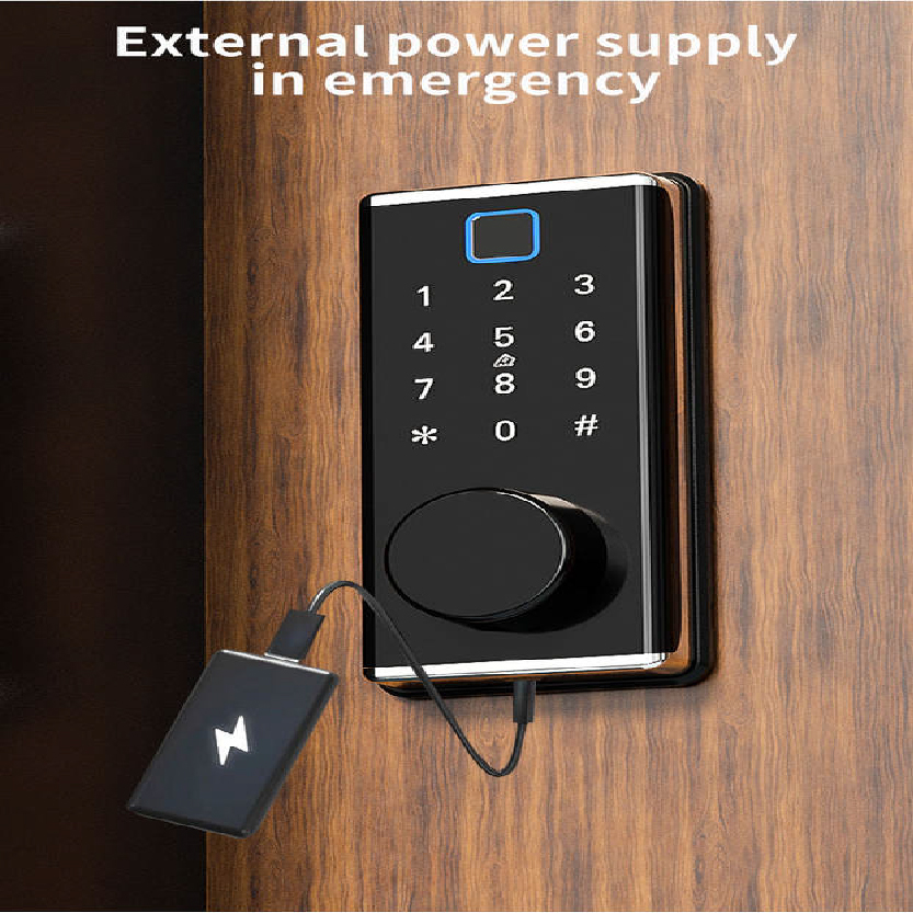 Bluetooth Bedroom lock X10
