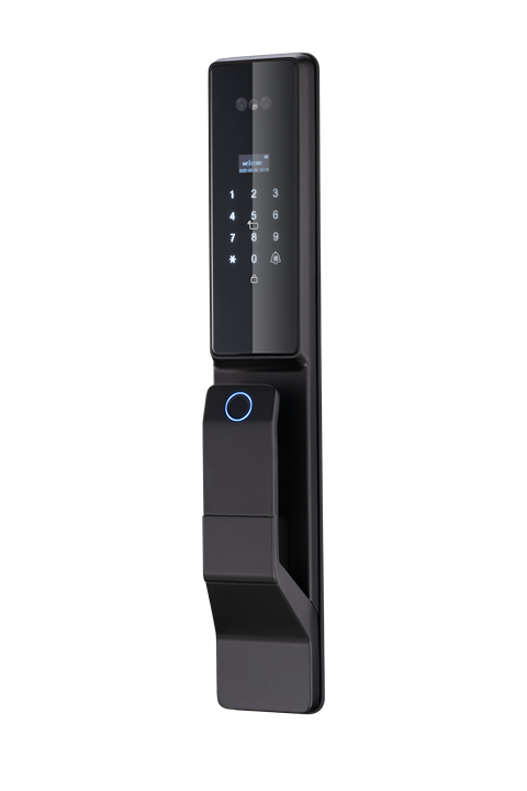 Tuya Wifi Latest Technology Bidirectional Audio Visual Intercom 3D Face Smart lock Roser x6
